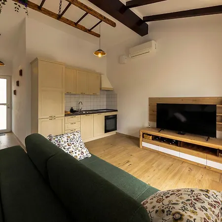 Apartment Brkinka *