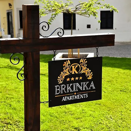 Brkinka * Vremski Britof