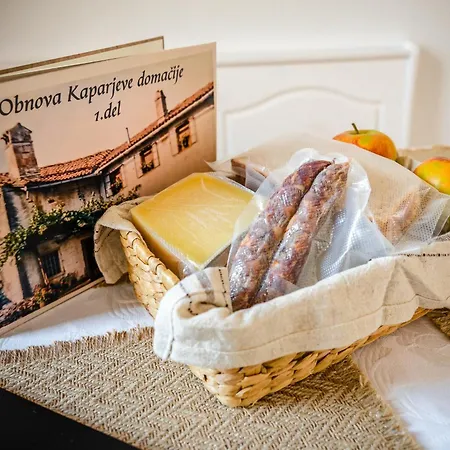 Brkinka Apartment Vremski Britof