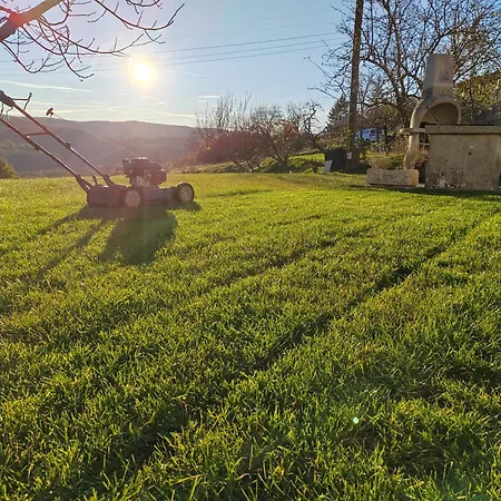 Brkinka * Vremski Britof