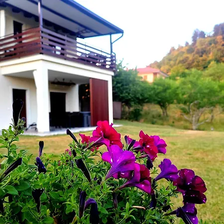 Brkinka * Vremski Britof