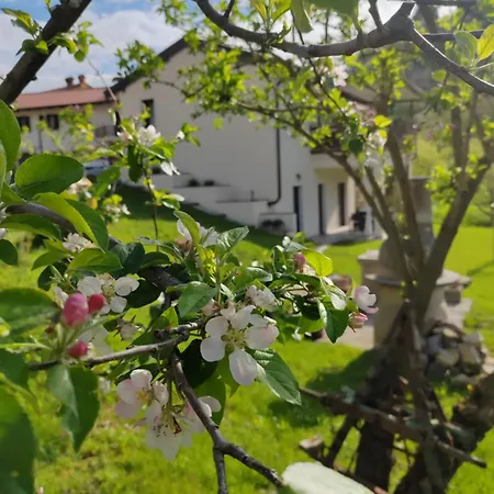 Brkinka Vremski Britof