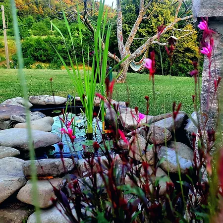 Brkinka * Vremski Britof