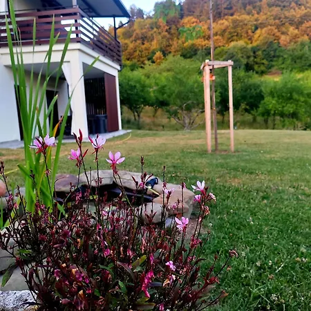 Brkinka Vremski Britof