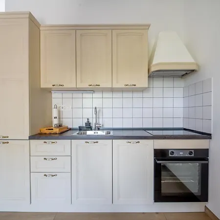 Apartment Brkinka *