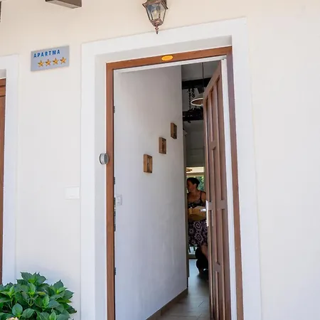 Apartment Brkinka