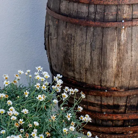 Brkinka Vremski Britof
