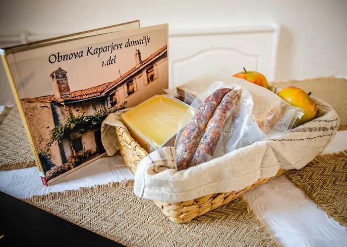 Brkinka Appartement Vremski Britof