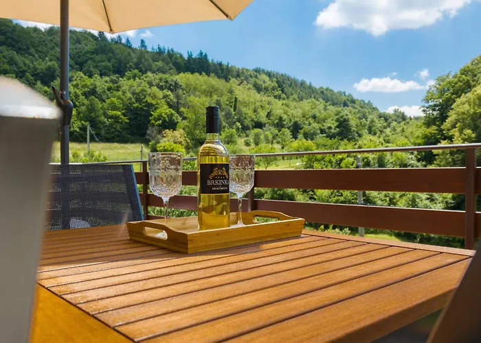 Brkinka Appartement *