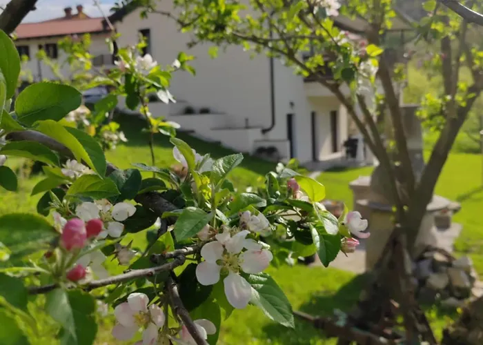 Brkinka Vremski Britof